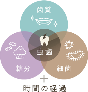 歯質+糖分+細菌+時間の経過